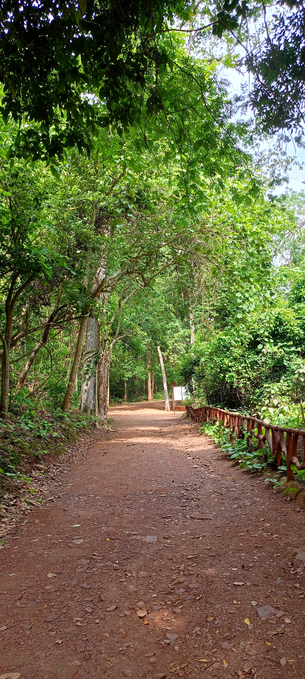 Forest view kvnp , #nature #photography #love #instagood #photooftheday #travel #sky #beautiful #art #naturephotography #like #landscape #sunset #photo #picoftheday #instagram #sun #beach #life #winter #sea #fun #cute #clouds #happy #naturelovers #summer #bhfyp, summer tirathgarh waterfall waterfalls indianwaterfall  nationalpark kangervalleynationalpark Raipur CG forest HD wallpaper view kangervalley tirathgarh waterfall waterfalls jungle Bastar Chhattisgarh photosoftheday photo gallery wallpaper view kangervalley instapicture instagood viralpic, wildlife HD wallpaper background picture wild animals Nature Photography tree spoteddave indianbird bastar munnabaghelphotography potooftheday Dave nationalpark kvnp forest jungle kangervalleynationalpark jagdalpur awesome birdphotography photosofbird nature gochhatishgarh chhatishgarh photo, 