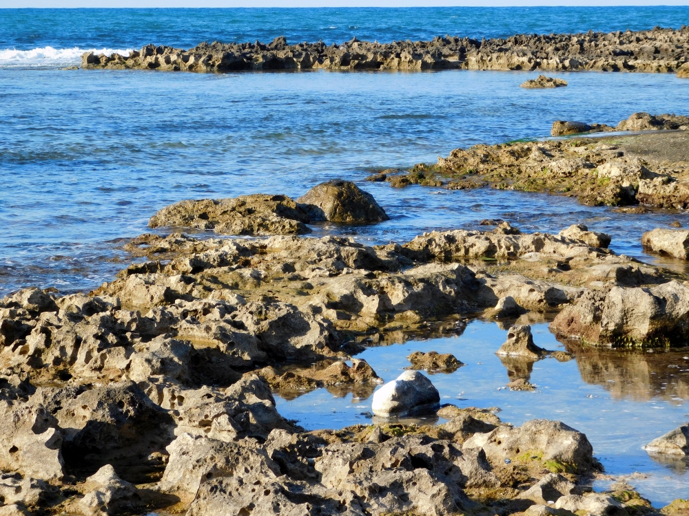 Sea, landscape, travel, beach, ocean, blue, horizon, water, nature, sky, beautiful, cloud, wave, summer, sea, calm, tropical, asia, seascape, coast, island, thailand, sunset, background, orange, sun, sunrise, fisherman, purple, koh samui, boat