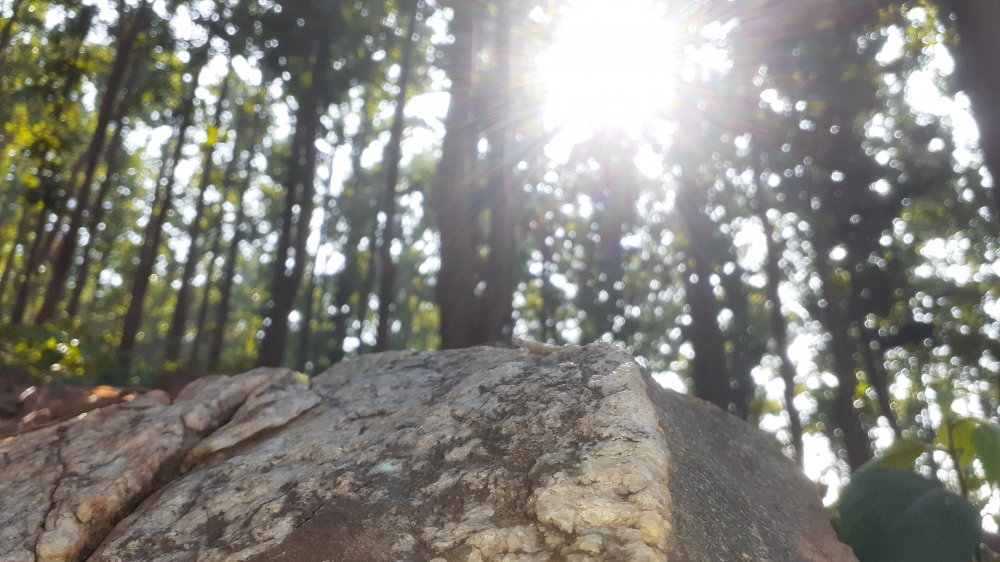 The last sunshine, Sunlight , Reflection of sunlight 