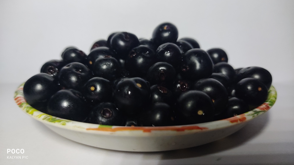 Jambolan, Fruits, jambolan,black, colour,sweet