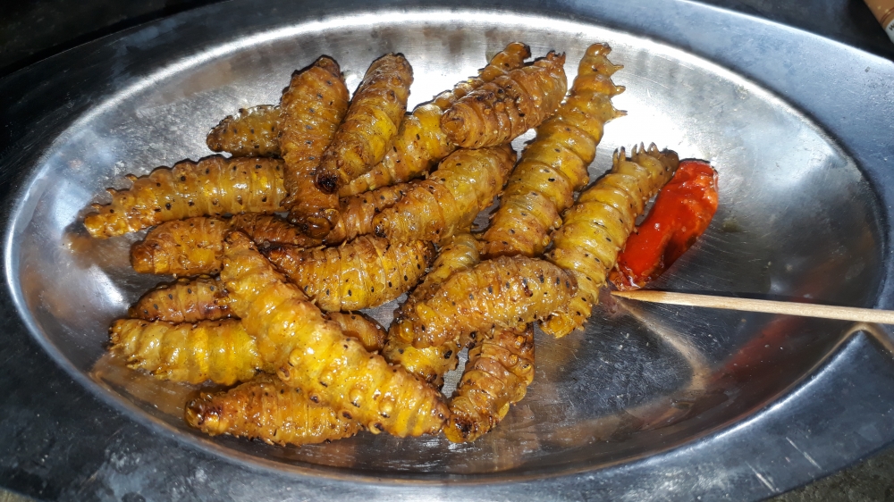 Silkworm Fry, food, silkworm, fry, delicious, tasty, mouth watering, Polu, restraunt, 