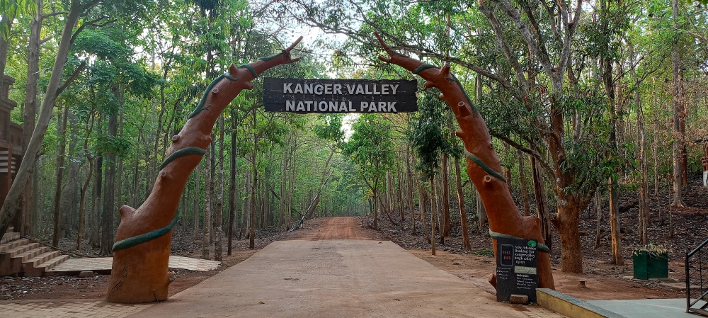 Gateway of Kanger Valley , Gateway of Kanger Valley , nature landscape background sunrays hdclicks nikongair lake reflection photos Bastar chhatishgarh sky clouds photooftheday naturephotography, wildlife HD wallpaper background picture wild animals Nature Photography tree spoteddave indianbird bastar munnabaghelphotography potooftheday Dave nationalpark kvnp forest jungle kangervalleynationalpark jagdalpur awesome birdphotography photosofbird nature gochhatishgarh chhatishgarh photo, summer tirathgarh waterfall waterfalls indianwaterfall  nationalpark kangervalleynationalpark Raipur CG forest HD wallpaper view kangervalley tirathgarh waterfall waterfalls jungle Bastar Chhattisgarh photosoftheday photo gallery wallpaper view kangervalley instapicture instagood viralpic, #nature #photography #love #instagood #photooftheday #travel #sky #beautiful #art #naturephotography #like #landscape #sunset #photo #picoftheday #instagram #sun #beach #life #winter #sea #fun #cute #clouds #happy #naturelovers #summer #bhfyp, 