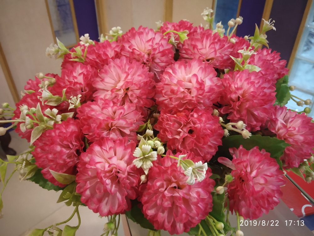 Red Color Flower, flower, red color, flower pot, natural, beauty
