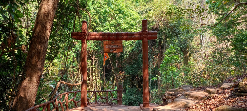 Kanger valley national Park , Nature background wallpaper hdclicks fullHD landscape limestonecaves wild bastar chhatishgarh kangervalleynationalpark kvnp, morningrays nature forest jungle munnabaghelphotography kvnp nationalpark bastar kangervalleynationalpark jagdalpur explore landscape gochhatishgarh bastarpicture photooftheday tree green wild Hill, summer tirathgarh waterfall waterfalls indianwaterfall  nationalpark kangervalleynationalpark Raipur CG forest HD wallpaper view kangervalley tirathgarh waterfall waterfalls jungle Bastar Chhattisgarh photosoftheday photo gallery wallpaper view kangervalley instapicture instagood viralpic, #nature #photography #love #instagood #photooftheday #travel #sky #beautiful #art #naturephotography #like #landscape #sunset #photo #picoftheday #instagram #sun #beach #life #winter #sea #fun #cute #clouds #happy #naturelovers #summer #bhfyp, 