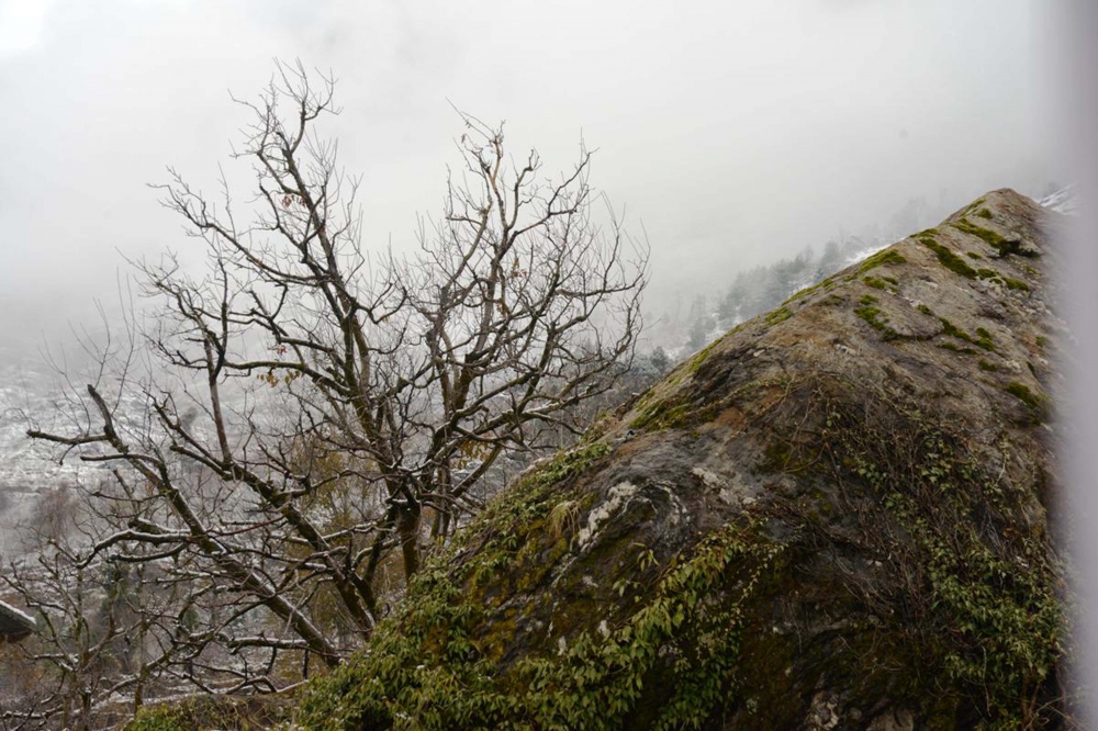 essence of nature, #nature#travel#himachal#nikon