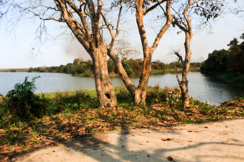Kaziranga Lake, Kaziranga national park, Assam, Lake