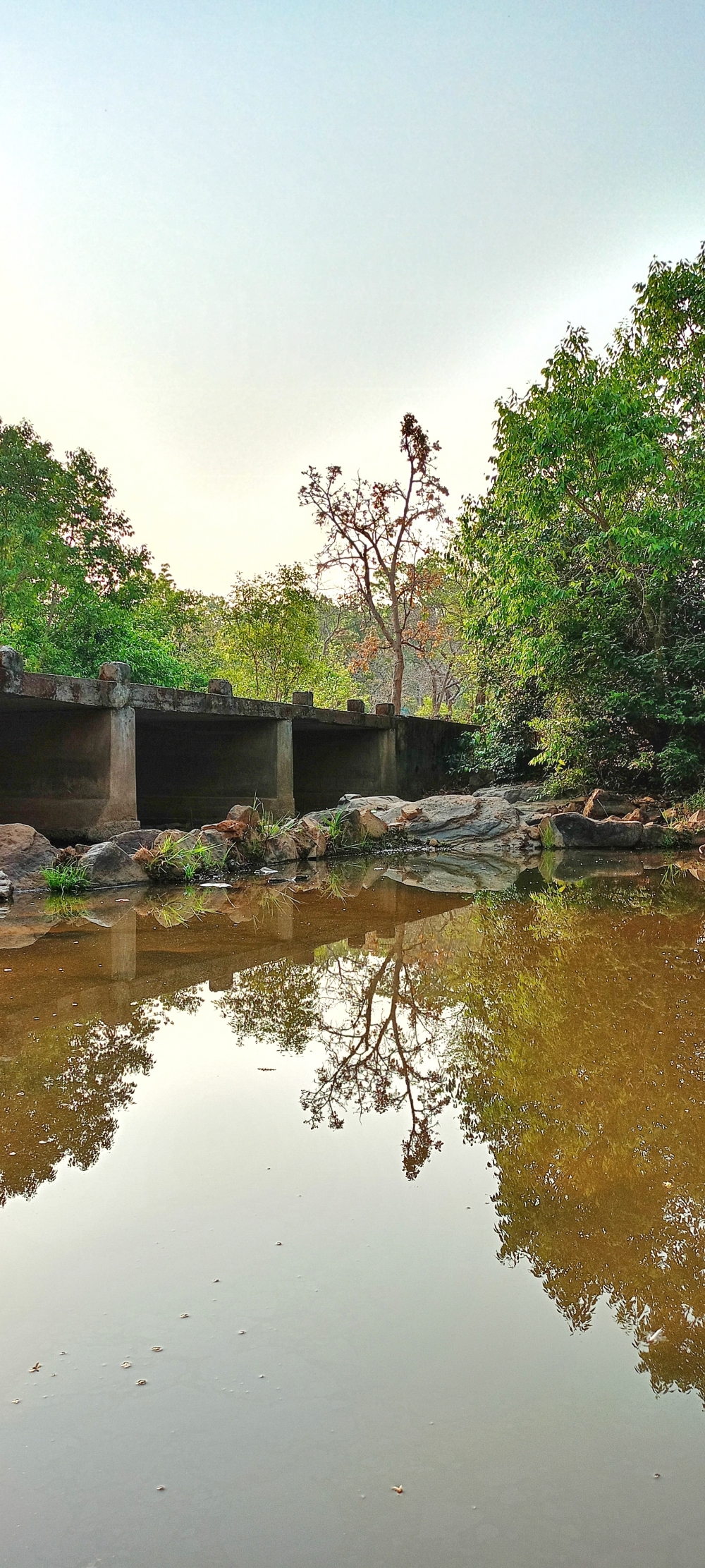 Bridge 3, Bridge , nature landscape background sunrays hdclicks nikongair lake reflection photos Bastar chhatishgarh sky clouds photooftheday naturephotography, wildlife HD wallpaper background picture wild animals Nature Photography tree spoteddave indianbird bastar munnabaghelphotography potooftheday Dave nationalpark kvnp forest jungle kangervalleynationalpark jagdalpur awesome birdphotography photosofbird nature gochhatishgarh chhatishgarh photo, summer tirathgarhwaterfall tirathgarh waterfall waterfalls indianwaterfall nationalpark kangervalleynationalpark Raipur Chhattisgarh photosoftheday photo gallery wallpaper view kangervalley instapicture instagood viralpic forest HD quality image Bastardistrict photography, #nature #photography #love #instagood #photooftheday #travel #sky #beautiful #art #naturephotography #like #landscape #sunset #photo #picoftheday #instagram #sun #beach #life #winter #sea #fun #cute #clouds #happy #naturelovers #summer #bhfyp, 