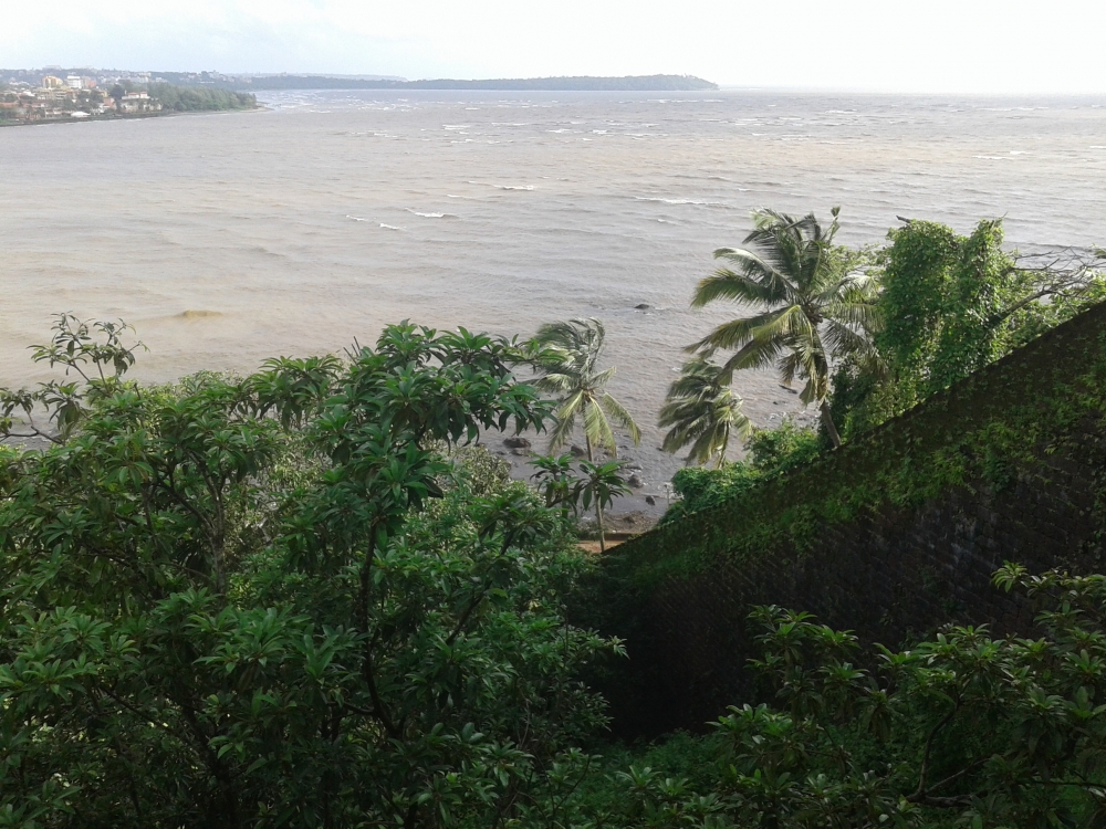 nature, nature ,beauty