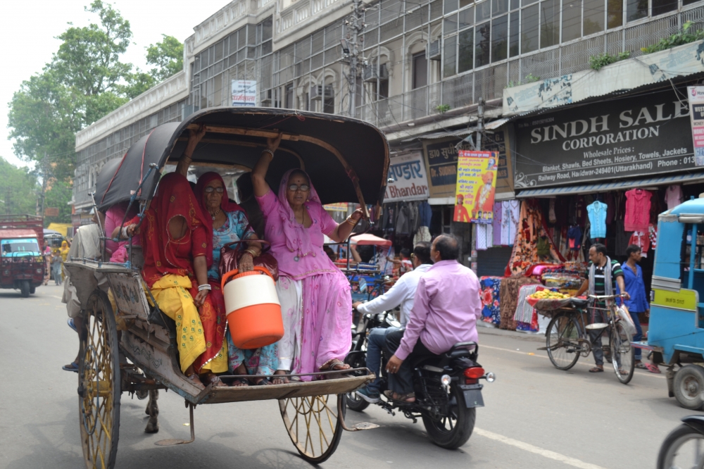 Pilgrims on a horsecart, Piligrims, seniors, horsecart, haridwar, transport, 