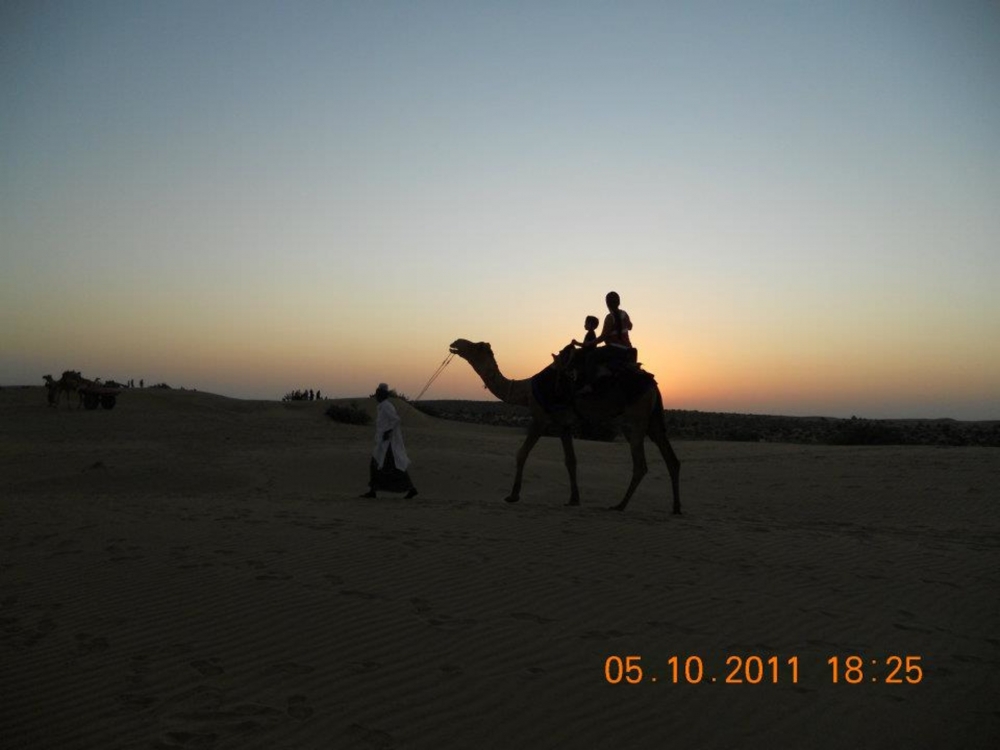 man with his animal , kalyan