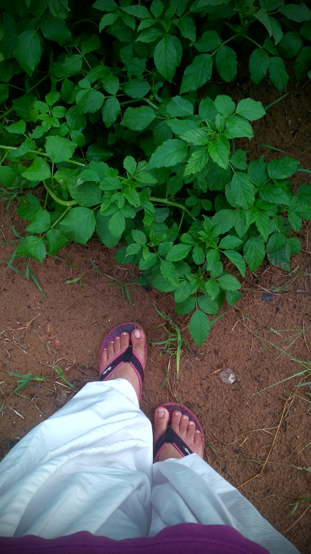 foot, #Nature #background #wallpaper #hdclicks #fullHD#fksayyad @f.k.sayyad, 