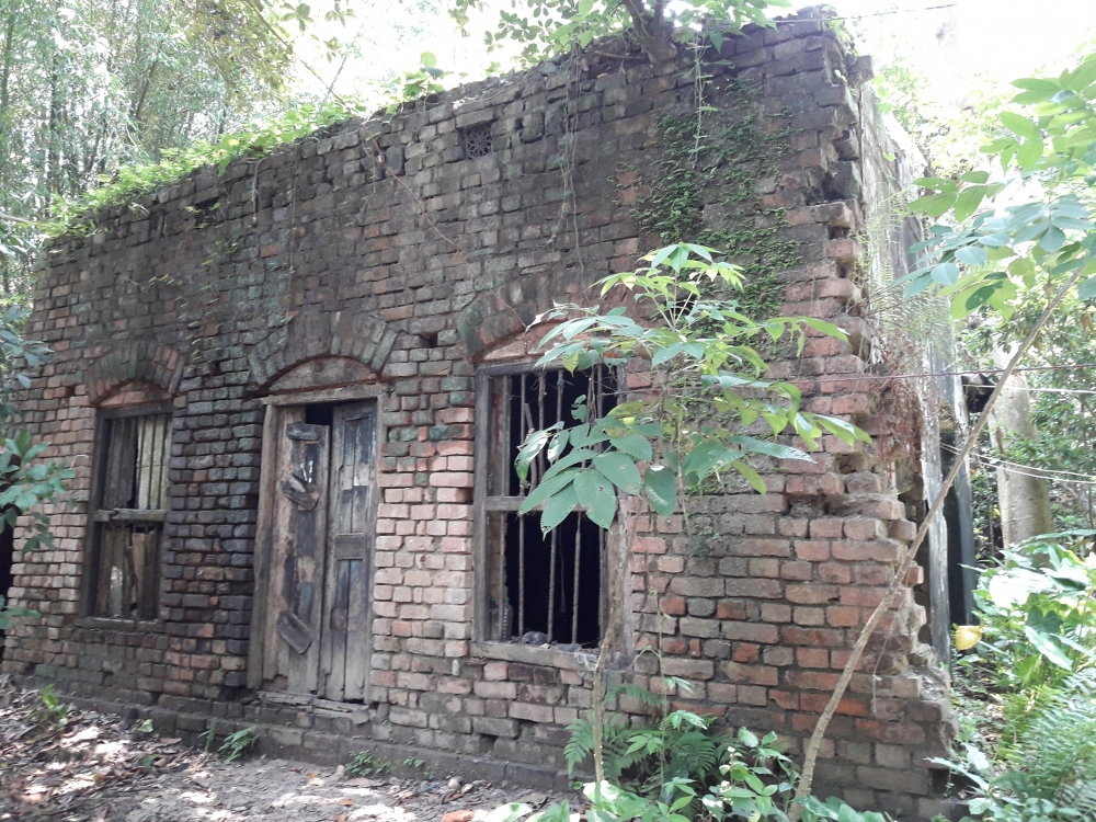HAUNTED HOUSE, Daytime haunted house