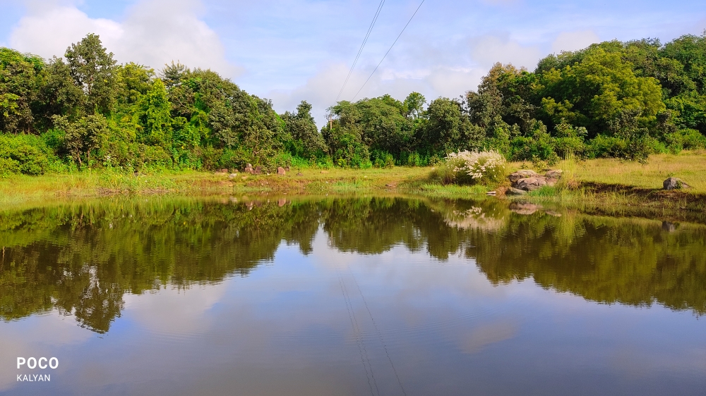 Shadow, Sky,water,tree, shadow,
