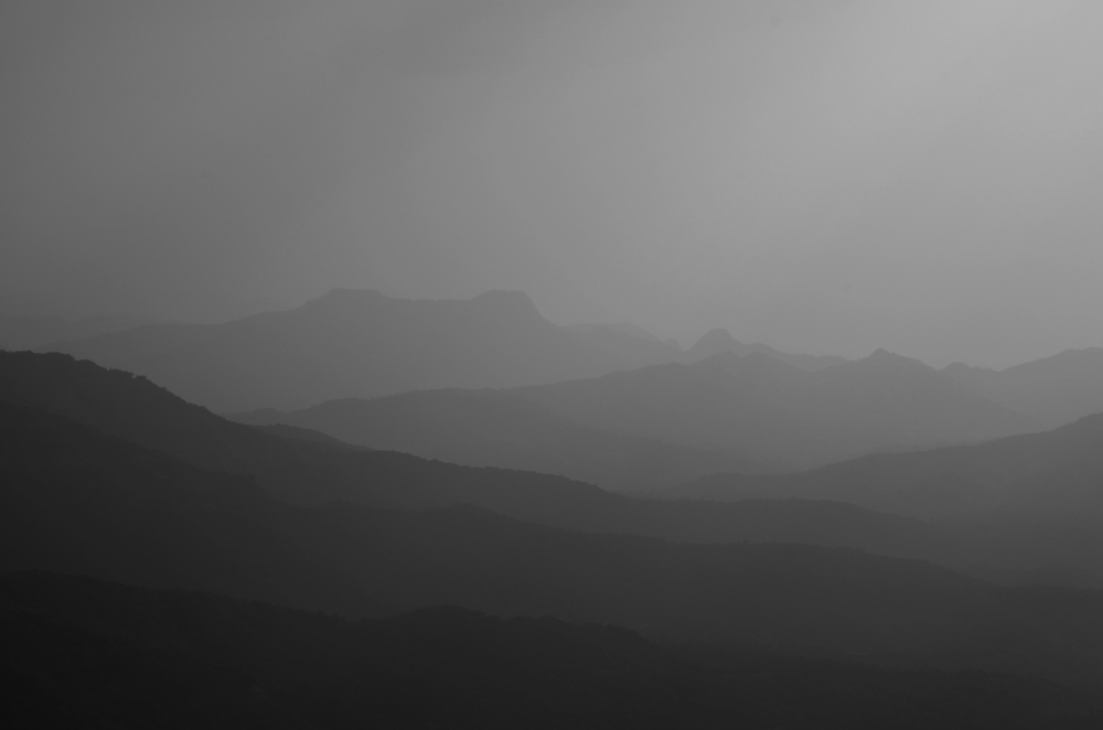 Fog Layers, landscape, 