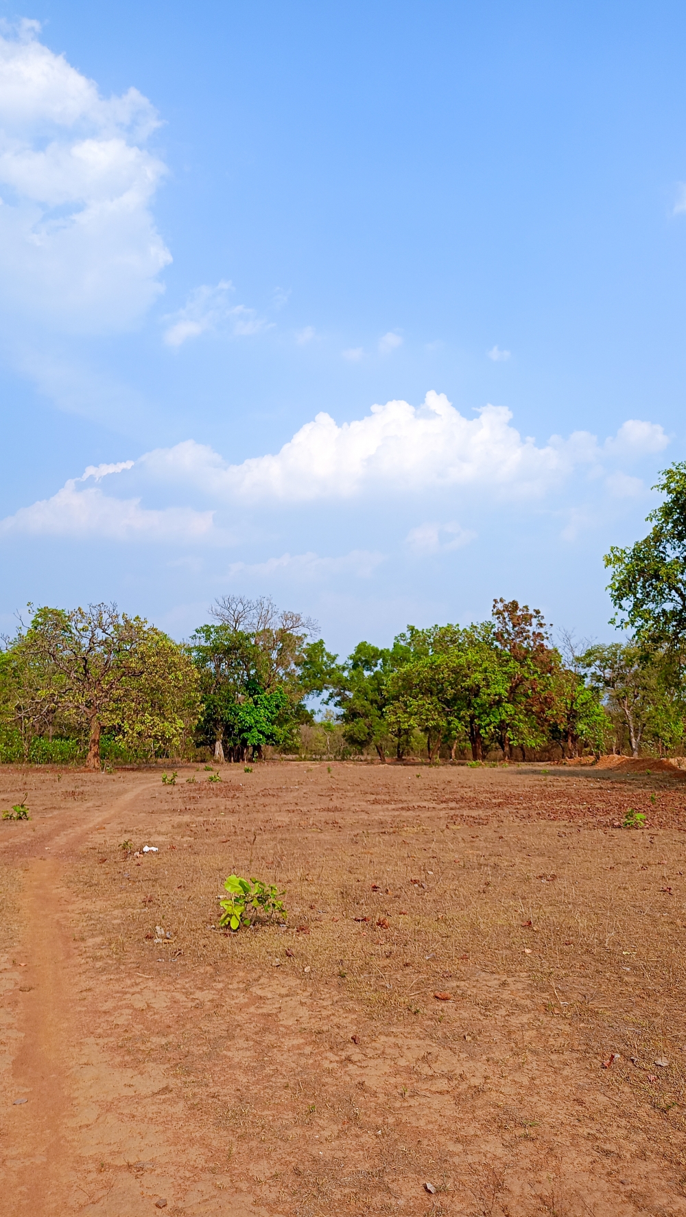 Nature and clouds , Nature background wallpaper hdclicks fullHD landscape limestonecaves wild bastar chhatishgarh kangervalleynationalpark kvnp, morningrays nature forest jungle munnabaghelphotography kvnp nationalpark bastar kangervalleynationalpark jagdalpur explore landscape gochhatishgarh bastarpicture photooftheday tree green wild Hill, summer tirathgarh waterfall waterfalls indianwaterfall  nationalpark kangervalleynationalpark Raipur CG forest HD wallpaper view kangervalley tirathgarh waterfall waterfalls jungle Bastar Chhattisgarh photosoftheday photo gallery wallpaper view kangervalley instapicture instagood viralpic, #nature #photography #love #instagood #photooftheday #travel #sky #beautiful #art #naturephotography #like #landscape #sunset #photo #picoftheday #instagram #sun #beach #life #winter #sea #fun #cute #clouds #happy #naturelovers #summer #bhfyp, 