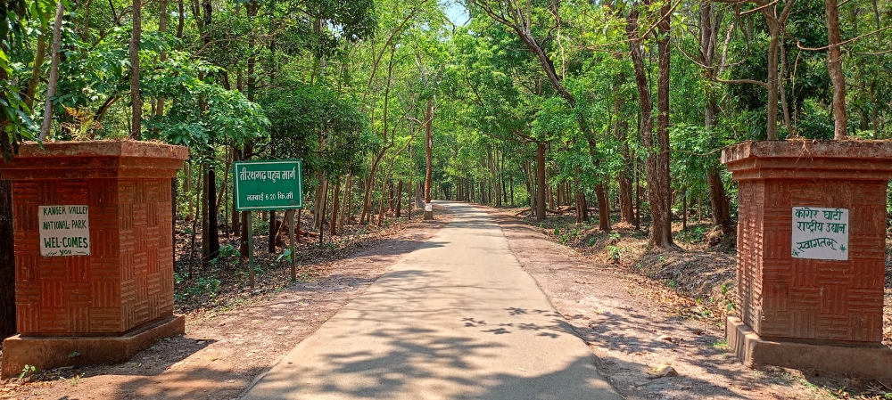 Road , Road, nature landscape background sunrays hdclicks nikongair lake reflection photos Bastar chhatishgarh sky clouds photooftheday naturephotography, wildlife HD wallpaper background picture wild animals Nature Photography tree spoteddave indianbird bastar munnabaghelphotography potooftheday Dave nationalpark kvnp forest jungle kangervalleynationalpark jagdalpur awesome birdphotography photosofbird nature gochhatishgarh chhatishgarh photo, summer tirathgarh waterfall waterfalls indianwaterfall  nationalpark kangervalleynationalpark Raipur CG forest HD wallpaper view kangervalley tirathgarh waterfall waterfalls jungle Bastar Chhattisgarh photosoftheday photo gallery wallpaper view kangervalley instapicture instagood viralpic, #nature #photography #love #instagood #photooftheday #travel #sky #beautiful #art #naturephotography #like #landscape #sunset #photo #picoftheday #instagram #sun #beach #life #winter #sea #fun #cute #clouds #happy #naturelovers #summer #bhfyp, 