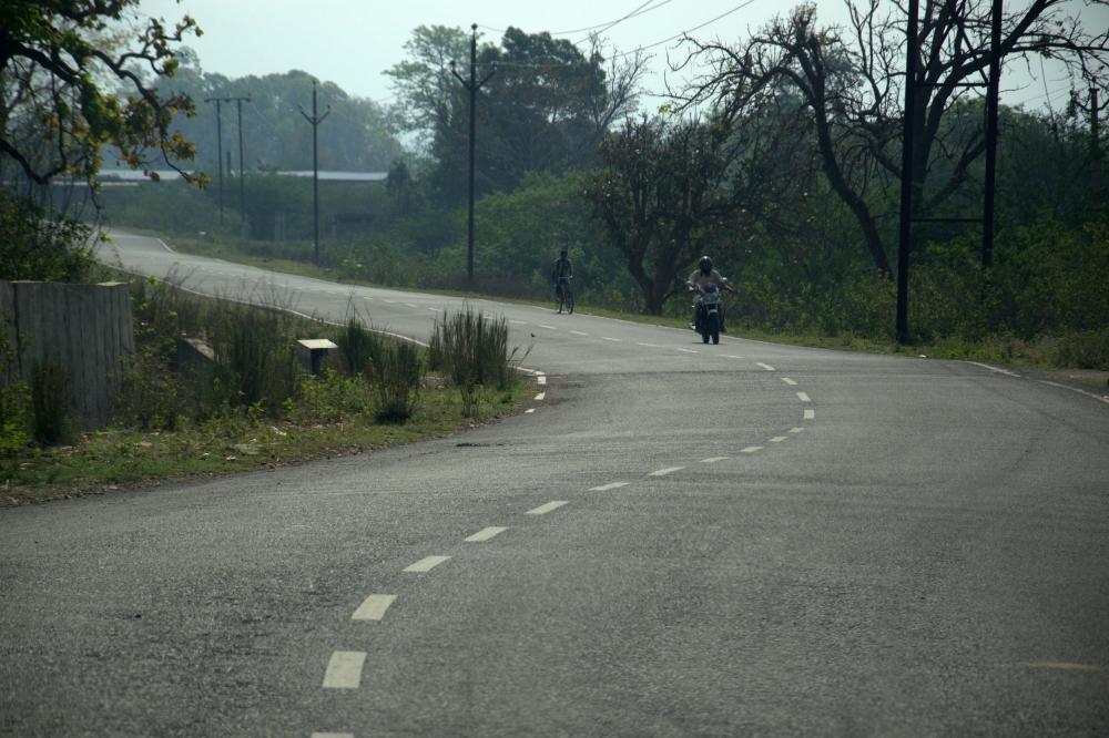 curve n curves, #Landscape# road