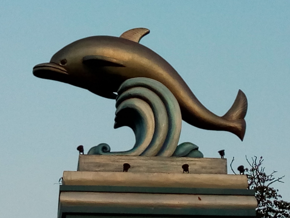 Dolphin symbol of City, DOLPHIN