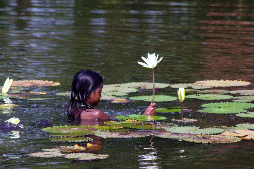 touch, #girl#tribal life#water lily#nature
