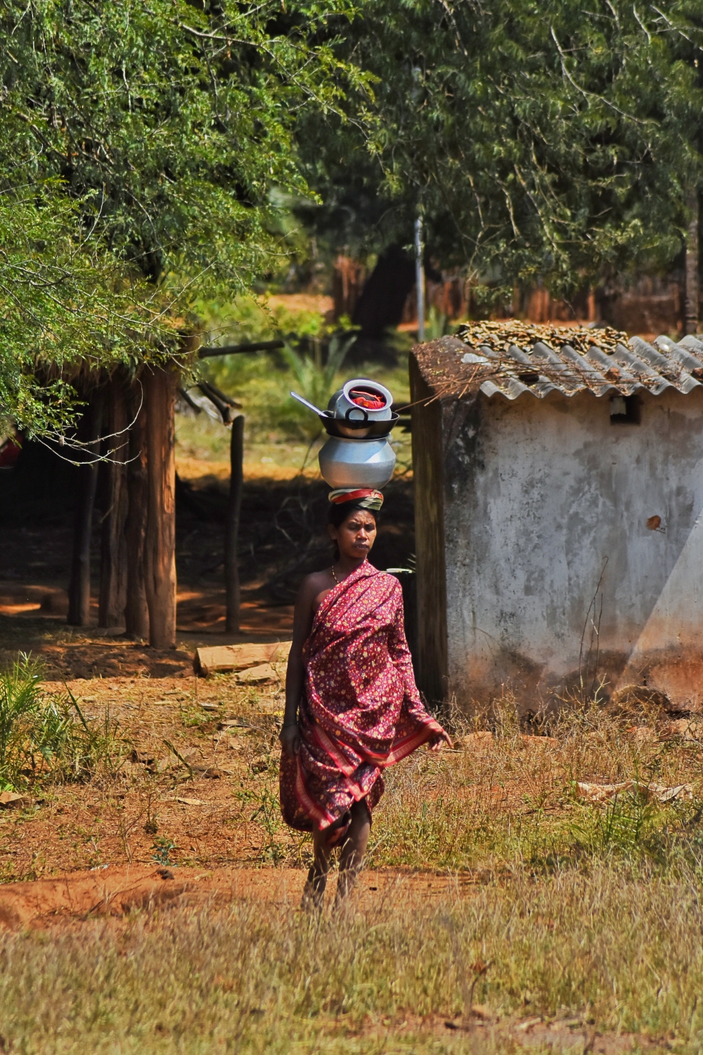 Woman of Dhurwa tribe of Bastar , #nature #photography #love #instagood #photooftheday #travel #sky #beautiful #art #naturephotography #like #landscape #sunset #photo #picoftheday #instagram #sun #beach #life #winter #sea #fun #cute #clouds #happy #naturelovers #summer #bhfyp, #people #portrait #portraitshoot #photography #photograph #street #streetphoto, portraits tribalwomen Bastar lady, 