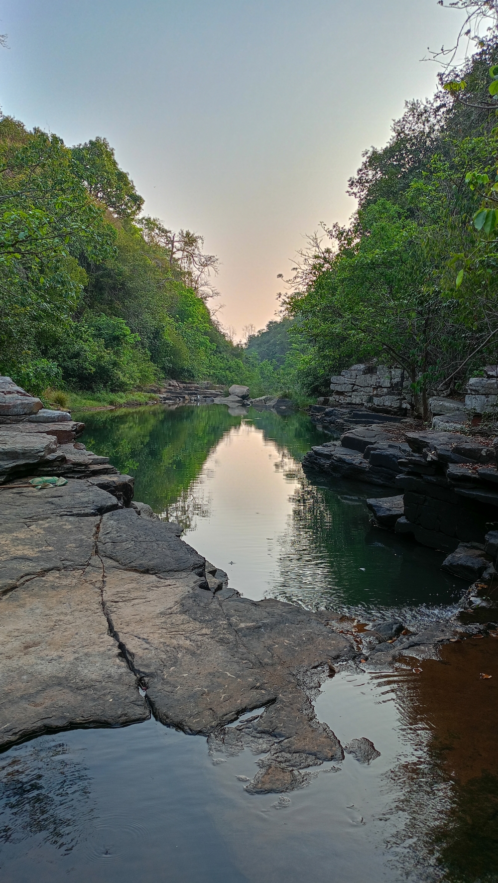 Morning view kangervalleynationalpark , #nature #photography #love #instagood #photooftheday #travel #sky #beautiful #art #naturephotography #like #landscape #sunset #photo #picoftheday #instagram #sun #beach #life #winter #sea #fun #cute #clouds #happy #naturelovers #summer #bhfyp, wildlife HD wallpaper background picture wild animals Nature Photography tree spoteddave indianbird bastar munnabaghelphotography potooftheday Dave nationalpark kvnp forest jungle kangervalleynationalpark jagdalpur awesome birdphotography photosofbird nature gochhatishgarh chhatishgarh photo, nature landscape background sunrays hdclicks nikongair lake reflection photos Bastar chhatishgarh sky clouds photooftheday naturephotography, nature landscape background sunrays hdclicks nikongair lake reflection photos Bastar chhatishgarh sky clouds photooftheday naturephotography, 