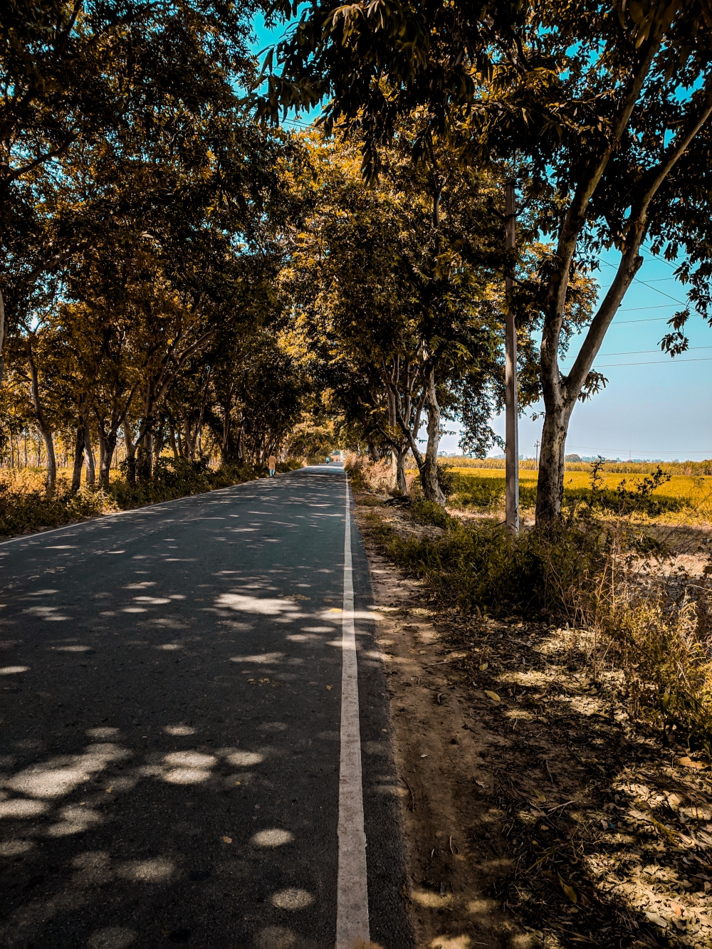 Vintage Roads, Nature# landscape #mountain#valley#lake#road#beautiful, 