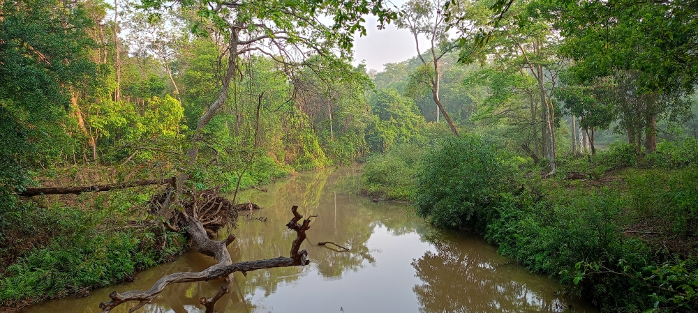 Kanger river , nature landscape background sunrays hdclicks nikongair lake reflection photos Bastar chhatishgarh sky clouds photooftheday naturephotography, #nature #photography #love #instagood #photooftheday #travel #sky #beautiful #art #naturephotography #like #landscape #sunset #photo #picoftheday #instagram #sun #beach #life #winter #sea #fun #cute #clouds #happy #naturelovers #summer #bhfyp, 
