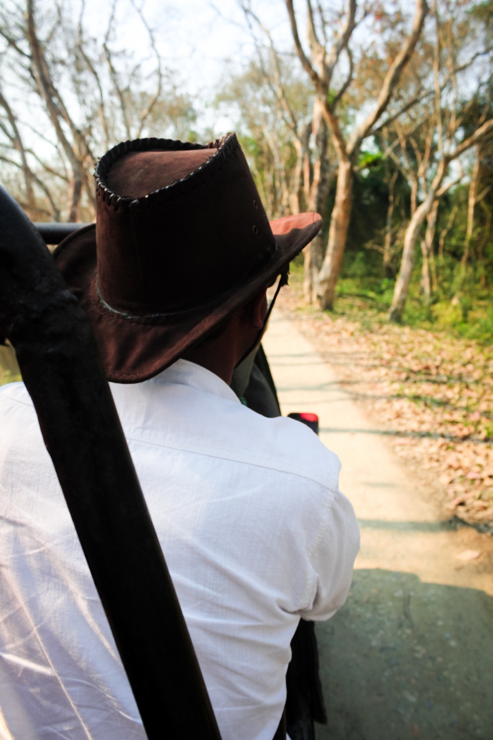 Kaziranga national park, Kaziranga national park, UNESCO World heritage site