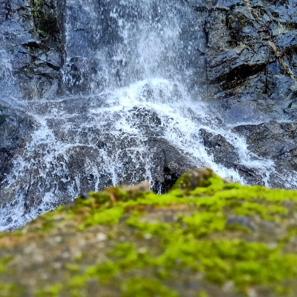 Waterfall,water,wild,rock,green,greens, greenery, Forrest,Forrest waterfall,rainy,rain, monsoon,monsoon waterfall, waterfalls, water, natural, Nature, milky white, Green, greens, rock, 