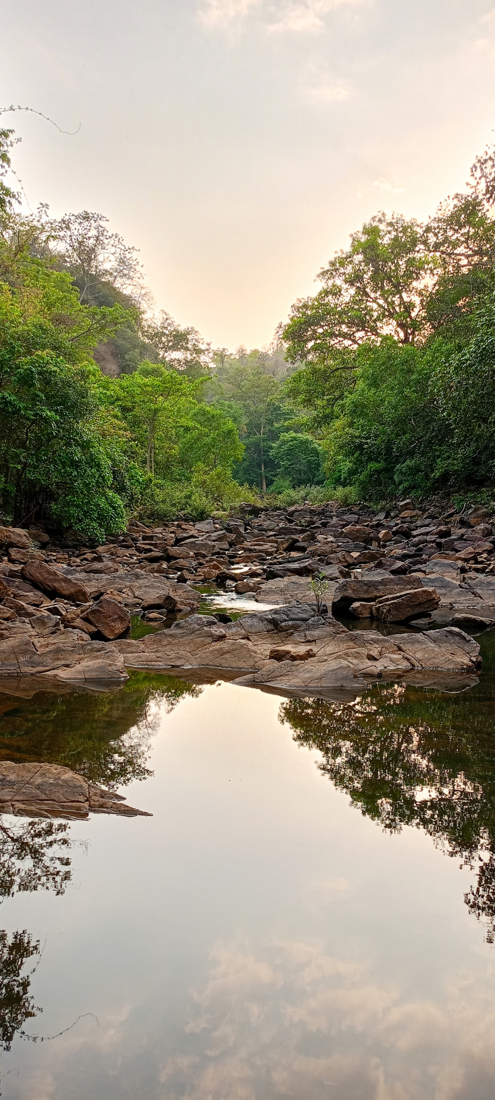 Kanger river kangervalleynationalpark jagdalpur , #nature #photography #love #instagood #photooftheday #travel #sky #beautiful #art #naturephotography #like #landscape #sunset #photo #picoftheday #instagram #sun #beach #life #winter #sea #fun #cute #clouds #happy #naturelovers #summer #bhfyp, 