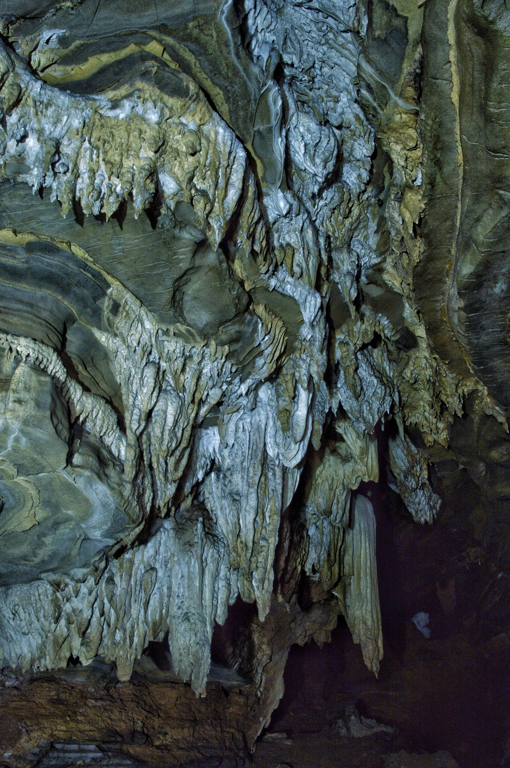  limestone cave , #nature #photography #love #instagood #photooftheday #travel #sky #beautiful #art #naturephotography #like #landscape #sunset #photo #picoftheday #instagram #sun #beach #life #winter #sea #fun #cute #clouds #happy #naturelovers #summer #bhfyp, tirathgarh tirathgarhwaterfall waterfall view of the day Wildlife Forest Hills Wildlife bastar jagdalpur Chhattisgarh India Raipur CG Wild flowers hdclicks wallpaper beautiful evening view kangervalleynationalpark kanger dhara waterfall viewofthenature, 