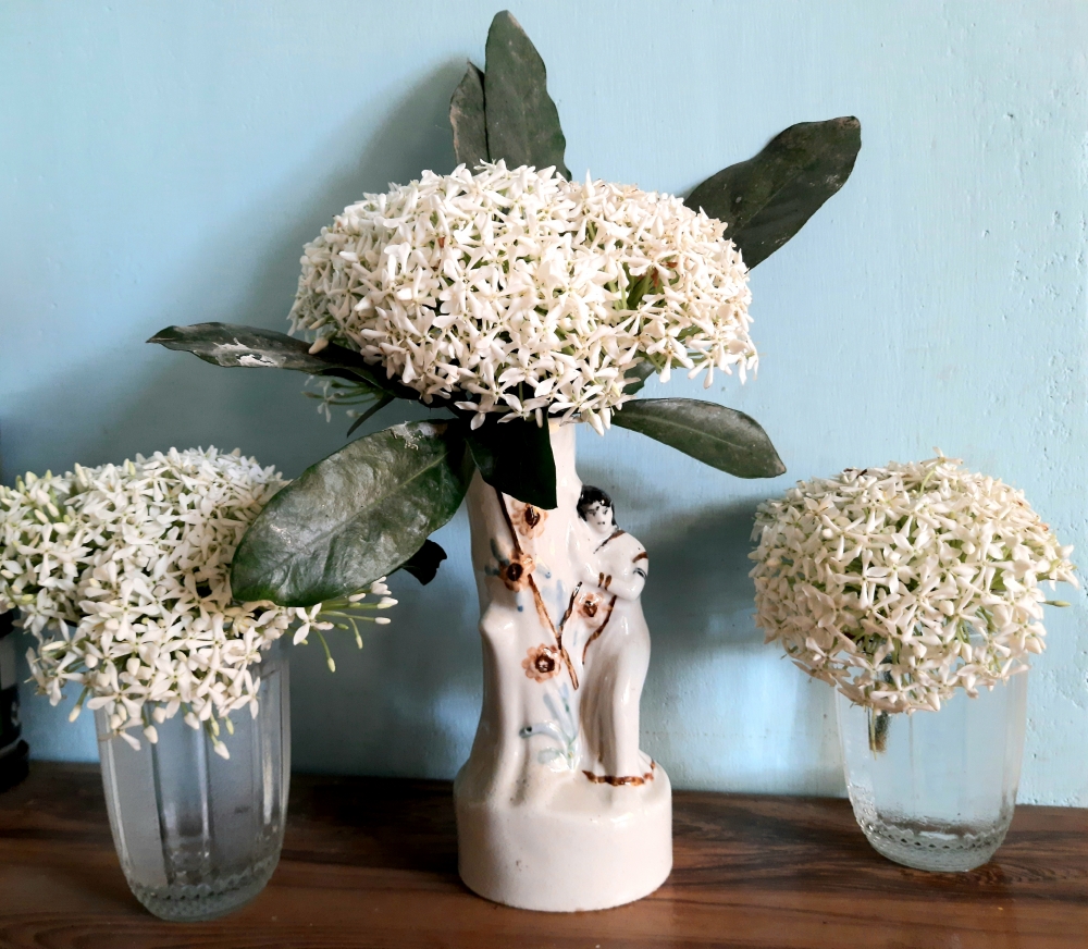 Flower in flower vessel, Flower, White Flower, white, VESSEL, PETAL, Leaf & Petal, NATURE,BEAUTIFICATION, 