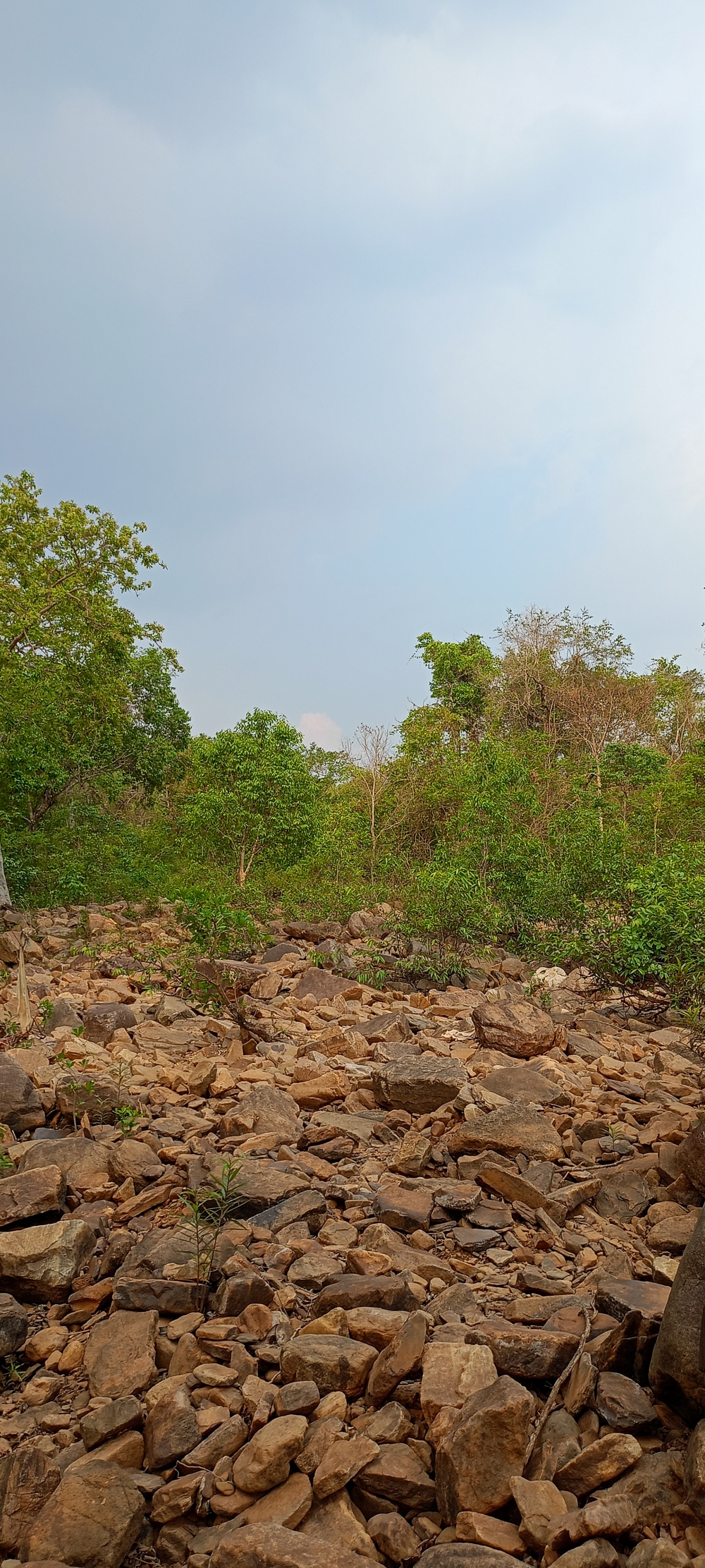 Stones 1, #wedding #moda  #photographer  #hair  #foodie  #inspiration  #funny  #instafood  #memes  #baby  #naturephotography  #l4l  #nails  #f4f  #likeforfollow #workout  #followforfollow  #illustration  #home  #instapic  #yummy  #vsco  #bestoftheday  #landscape  #catsofinstagram  #vscocam  #puppy  #fit  #party  #tagsforlikes  #girls  #tattoo  #healthy  #instafashion  #blackandwhite  #architecture  #love #instagood  #fashion #instagram  #photooftheday  #art  #photography  #beautiful #nature  #picoftheday  #travel  #happy  #cute  #instadaily  #style  #tbt  #repost  #followme #summer  #reels  #like4like  #beauty  #fitness  #food  #instalike #explore  #photo  #me  #selfie  #music  #viral  #friends #life #smile  #family #bastar #jagdalpur #Chhattisgarh #Gallery #Wildlife #Forest #Hills #beach #river #kanger dhara waterfall #viewofthenature #chitrakot #waterfall #Raipur #caves #Cave #kotamsarCave# India #tirathgarh