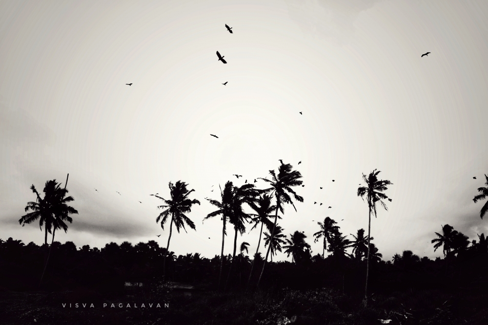 Nature, #nature #landscape #skylove #