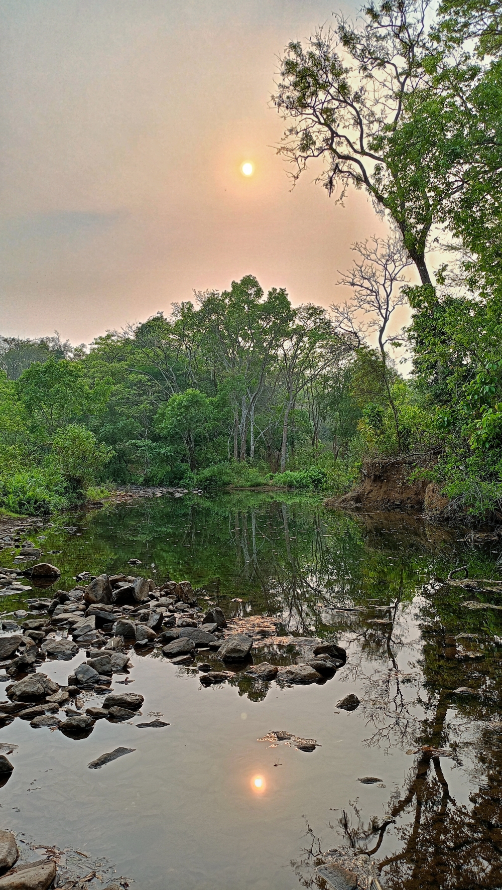 Nature view , #nature #photography #love #instagood #photooftheday #travel #sky #beautiful #art #naturephotography #like #landscape #sunset #photo #picoftheday #instagram #sun #beach #life #winter #sea #fun #cute #clouds #happy #naturelovers #summer #bhfyp, bastar, panoramic view, nature, jagdalpur, national Park jagdalpur, bastar jagdalpur Chhattisgarh India caves Cave kotamsarCave national Park jagdalpur morning bastar stock photo gallery kayak kayaking river kanger river kanger dhara waterfall viewofthenature tirathgarhwaterfall waterfall, 