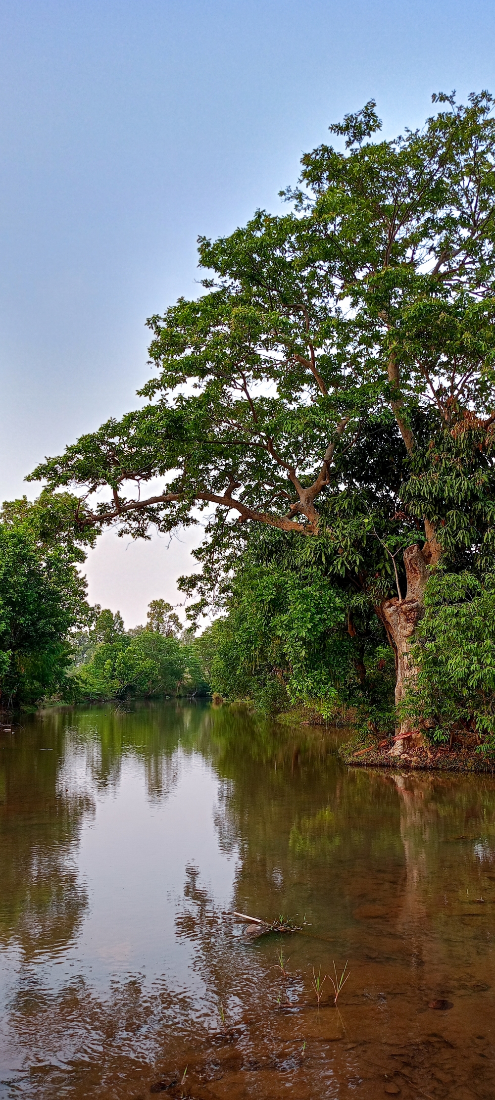 Nature view , nature landscape background sunrays hdclicks nikongair lake reflection photos Bastar chhatishgarh sky clouds photooftheday naturephotography, wildlife HD wallpaper background picture wild animals Nature Photography tree spoteddave indianbird bastar munnabaghelphotography potooftheday Dave nationalpark kvnp forest jungle kangervalleynationalpark jagdalpur awesome birdphotography photosofbird nature gochhatishgarh chhatishgarh photo, summer tirathgarh waterfall waterfalls indianwaterfall  nationalpark kangervalleynationalpark Raipur CG forest HD wallpaper view kangervalley tirathgarh waterfall waterfalls jungle Bastar Chhattisgarh photosoftheday photo gallery wallpaper view kangervalley instapicture instagood viralpic, #nature #photography #love #instagood #photooftheday #travel #sky #beautiful #art #naturephotography #like #landscape #sunset #photo #picoftheday #instagram #sun #beach #life #winter #sea #fun #cute #clouds #happy #naturelovers #summer #bhfyp, 
