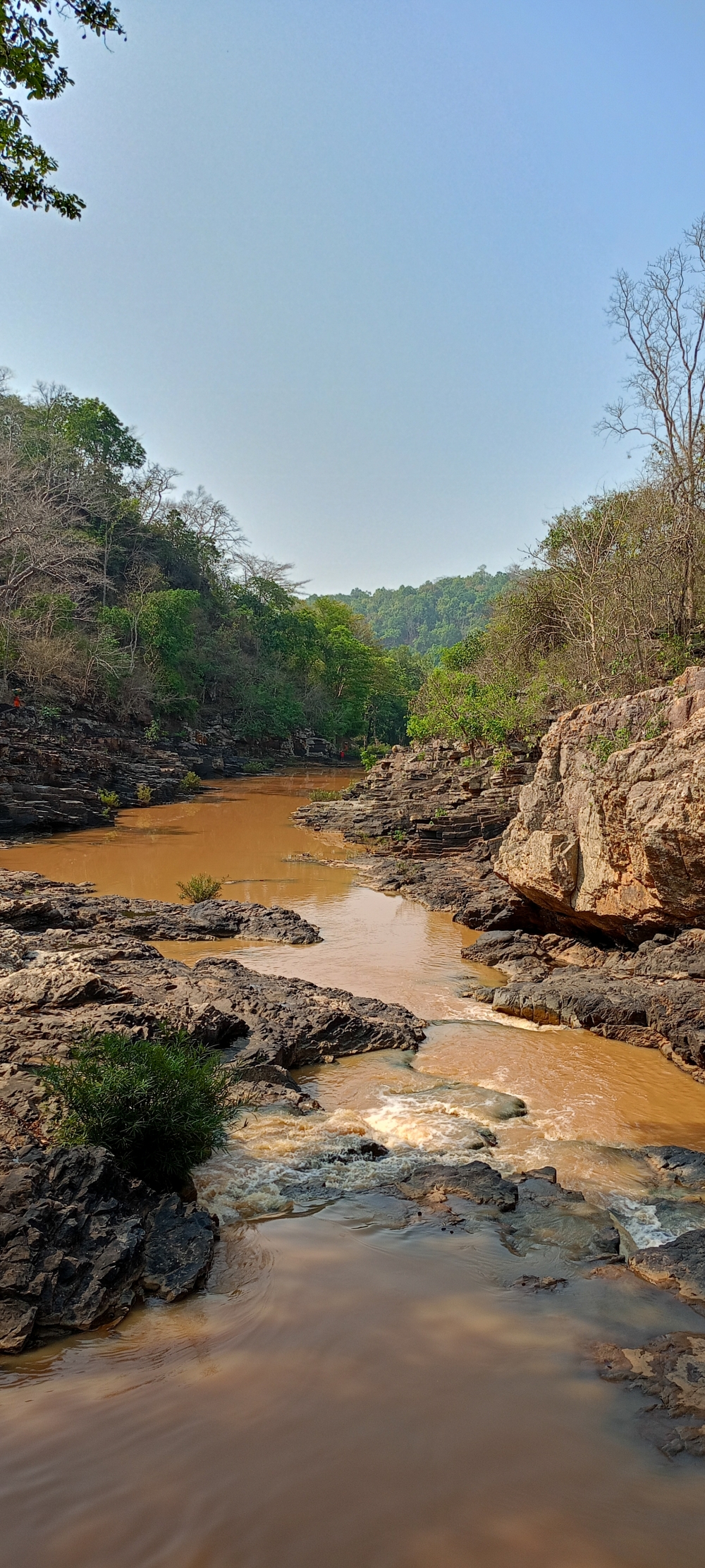 Kanger river kotamsar , summer tirathgarh waterfall waterfalls indianwaterfall  nationalpark kangervalleynationalpark Raipur CG forest HD wallpaper view kangervalley tirathgarh waterfall waterfalls jungle Bastar Chhattisgarh photosoftheday photo gallery wallpaper view kangervalley instapicture instagood viralpic, nature landscape background sunrays hdclicks nikongair lake reflection photos Bastar chhatishgarh sky clouds photooftheday naturephotography, wildlife HD wallpaper background picture wild animals Nature Photography tree spoteddave indianbird bastar munnabaghelphotography potooftheday Dave nationalpark kvnp forest jungle kangervalleynationalpark jagdalpur awesome birdphotography photosofbird nature gochhatishgarh chhatishgarh photo, #nature #photography #love #instagood #photooftheday #travel #sky #beautiful #art #naturephotography #like #landscape #sunset #photo #picoftheday #instagram #sun #beach #life #winter #sea #fun #cute #clouds #happy #naturelovers #summer #bhfyp, 