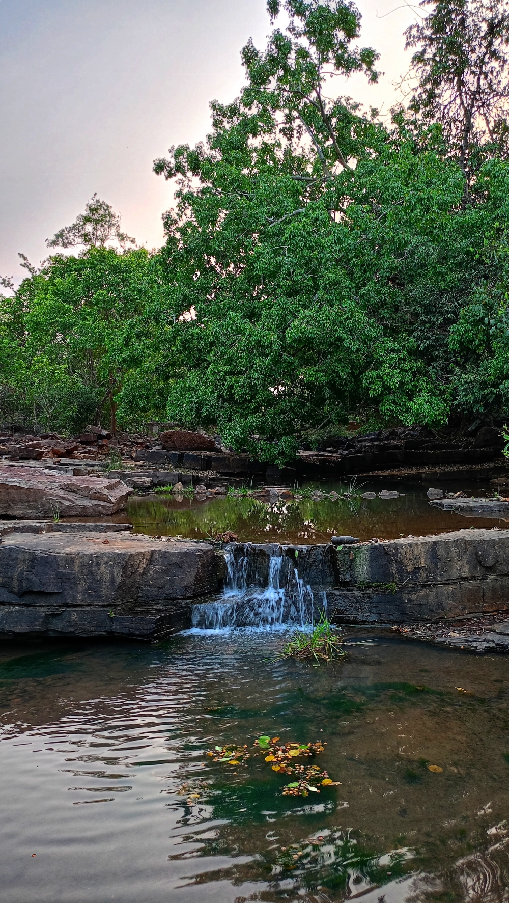 Mini waterfall , #nature #waterfall #landscape #ebeauty #wallpaper #background #picture #bastar, nature landscape background sunrays hdclicks nikongair lake reflection photos Bastar chhatishgarh sky clouds photooftheday naturephotography, wildlife HD wallpaper background picture wild animals Nature Photography tree spoteddave indianbird bastar munnabaghelphotography potooftheday Dave nationalpark kvnp forest jungle kangervalleynationalpark jagdalpur awesome birdphotography photosofbird nature gochhatishgarh chhatishgarh photo, summer tirathgarhwaterfall tirathgarh waterfall waterfalls indianwaterfall nationalpark kangervalleynationalpark Raipur Chhattisgarh photosoftheday photo gallery wallpaper view kangervalley instapicture instagood viralpic forest HD quality image Bastardistrict photography, #nature #photography #love #instagood #photooftheday #travel #sky #beautiful #art #naturephotography #like #landscape #sunset #photo #picoftheday #instagram #sun #beach #life #winter #sea #fun #cute #clouds #happy #naturelovers #summer #bhfyp, 