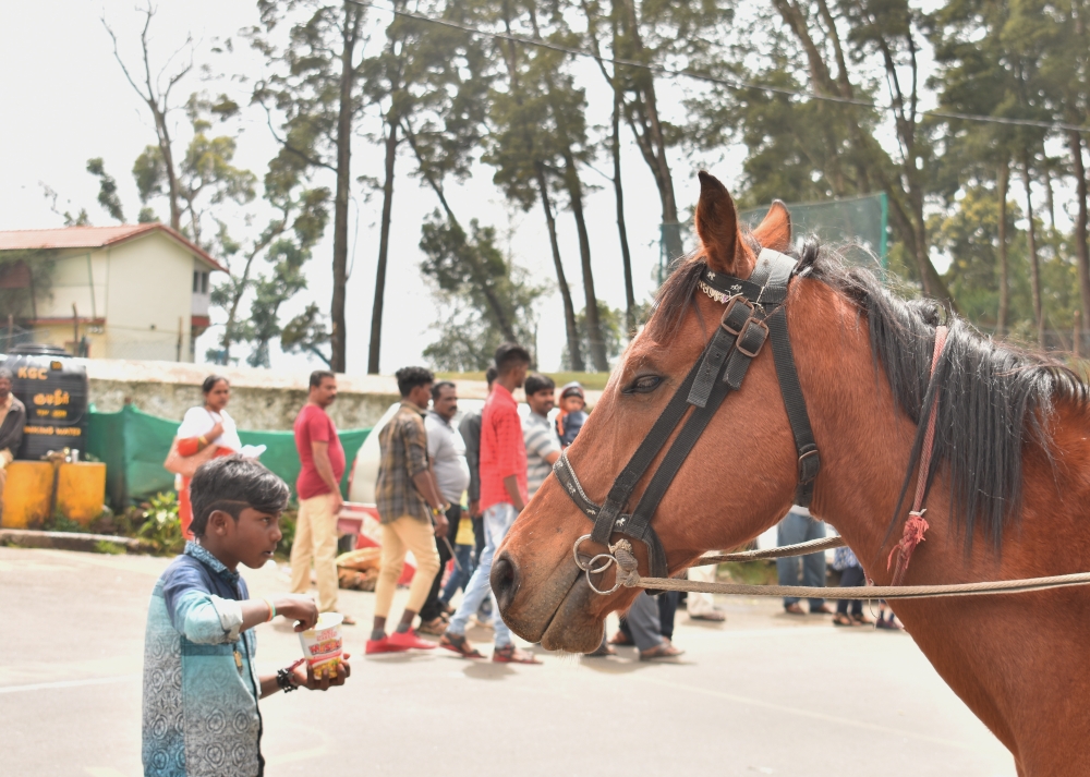 Candid shot, Candid... street.., 