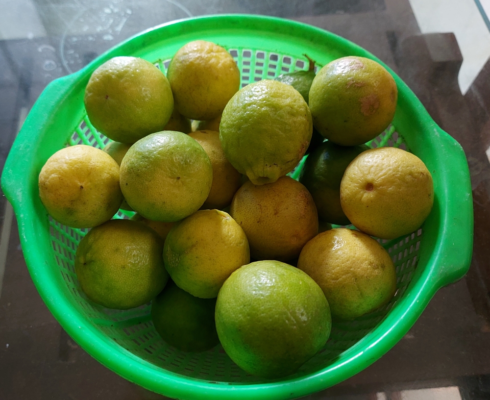 Lemon, Lemon, naranga, foods, fruits, 