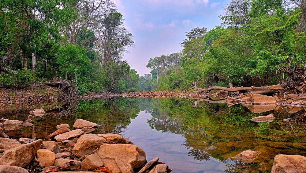 Reflections view munga bhahr river river , #nature #photography #love #instagood #photooftheday #travel #sky #beautiful #art #naturephotography #like #landscape #sunset #photo #picoftheday #instagram #sun #beach #life #winter #sea #fun #cute #clouds #happy #naturelovers #summer #bhfyp, #nature #chitrakhotwaterfall #landscape #HD #wallpaper #background #picture #chitrakhot #Bastar #Munn baghelPhotography, 