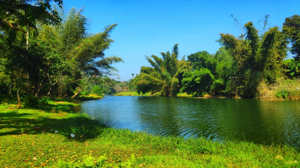Periyar river, Nature, River, Kerala, 