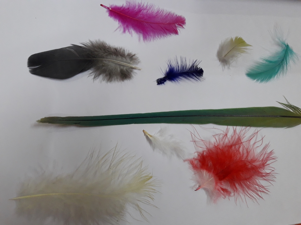 Feather , Nice looking 