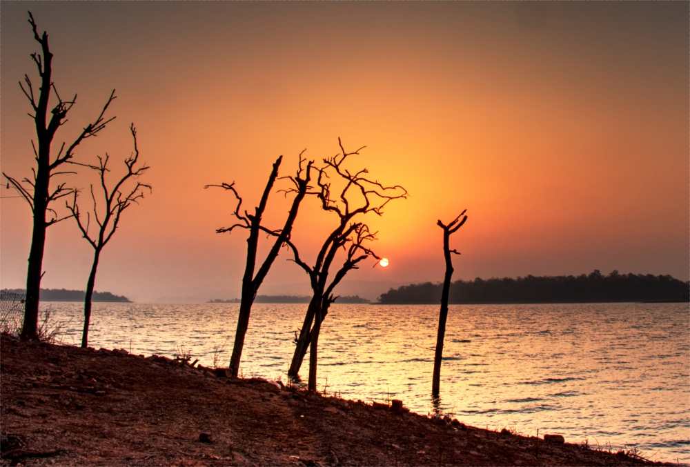 magical morning, landscape, #Nature #background #wallpaper #hdclicks #fullHD#tirathgarh_waterfall #landscape#Photography#, morning, Sunrise, sun, round, Trees, River, lake, water body, water, travel, Sky, 