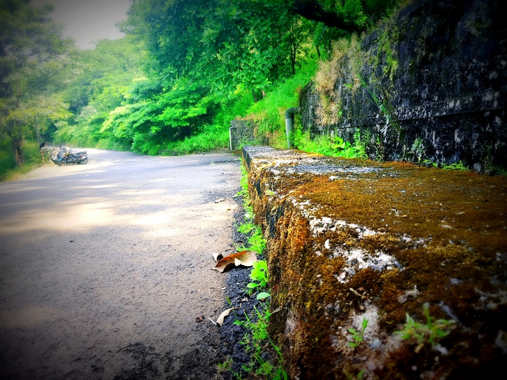 Silence, Evergreen path