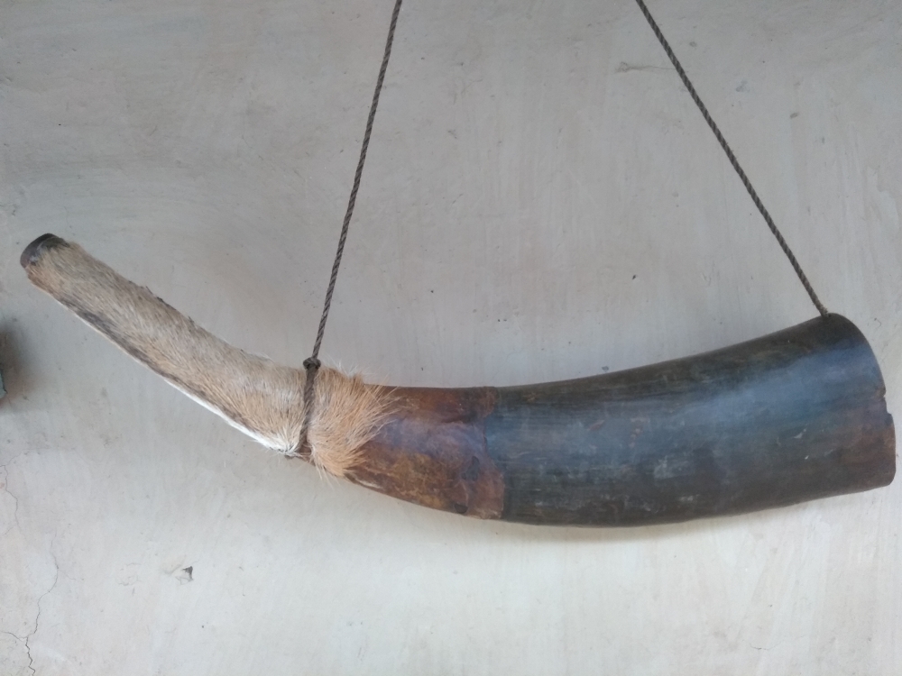 Bastariya thodhi , #bastriyathodhi