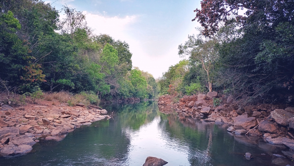 View of the kanger river , #nature #photography #love #instagood #photooftheday #travel #sky #beautiful #art #naturephotography #like #landscape #sunset #photo #picoftheday #instagram #sun #beach #life #winter #sea #fun #cute #clouds #happy #naturelovers #summer #bhfyp, #nature #chitrakhotwaterfall #landscape #HD #wallpaper #background #picture #chitrakhot #Bastar #Munn baghelPhotography, 
