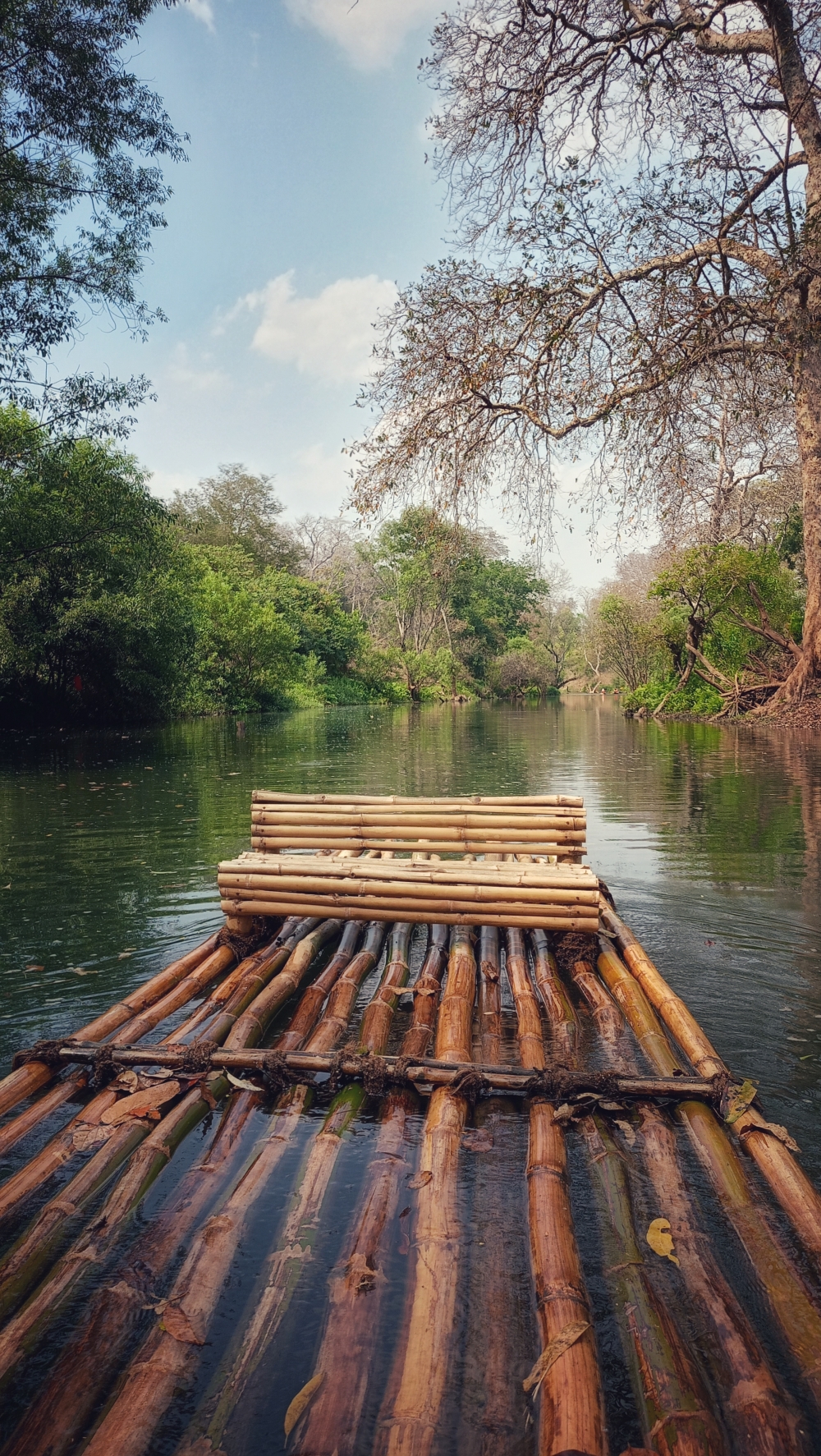 Bamboo rafting in Kanger Valley National Park is a unique experience that allows visitors to explore the natural beauty of the park while also experiencing the local culture. The Kanger River is a slow-moving river that runs through the park, offering stunning views of the lush green forests, rocky cliffs, and waterfalls. The bamboo rafts are spacious and comfortable, #nature #photography #love #instagood #photooftheday #travel #sky #beautiful #art #naturephotography #like #landscape #sunset #photo #picoftheday #instagram #sun #beach #life #winter #sea #fun #cute #clouds #happy #naturelovers #summer #bhfyp,  bastar, jagdalpur, Chhattisgarh, India, Raipur, caves, Cave, kotamsarCave, national Park, kangervalleynationalpark, kanger dhara, waterfall, viewofthenature, chitrakot, chitrakot waterfall, view, bamboo rafting, kayaking, adventure,