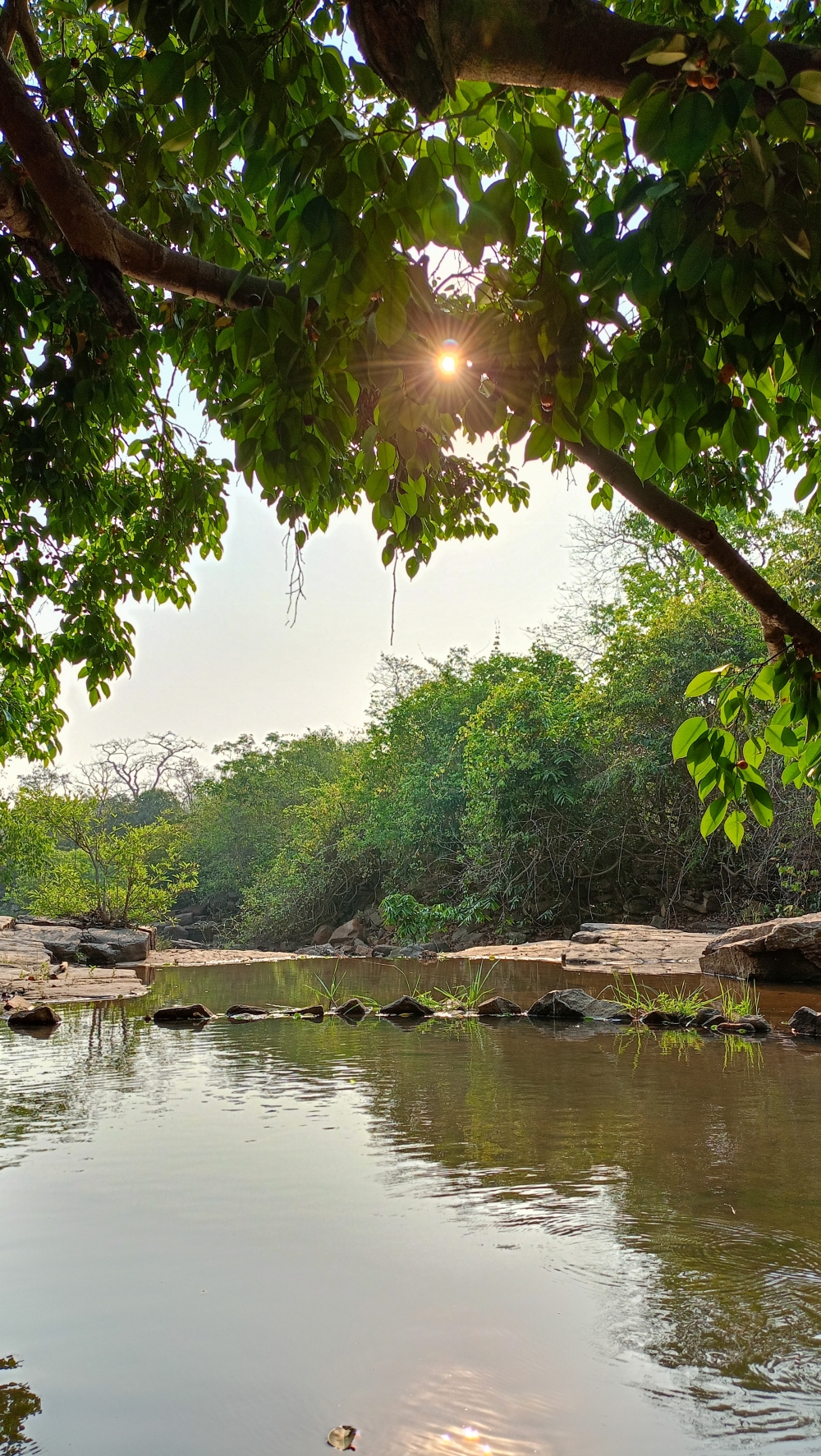 Surya ki kirne 1 , nature landscape background sunrays hdclicks nikongair lake reflection photos Bastar chhatishgarh sky clouds photooftheday naturephotography, wildlife HD wallpaper background picture wild animals Nature Photography tree spoteddave indianbird bastar munnabaghelphotography potooftheday Dave nationalpark kvnp forest jungle kangervalleynationalpark jagdalpur awesome birdphotography photosofbird nature gochhatishgarh chhatishgarh photo, summer tirathgarh waterfall waterfalls indianwaterfall  nationalpark kangervalleynationalpark Raipur CG forest HD wallpaper view kangervalley tirathgarh waterfall waterfalls jungle Bastar Chhattisgarh photosoftheday photo gallery wallpaper view kangervalley instapicture instagood viralpic, #nature #photography #love #instagood #photooftheday #travel #sky #beautiful #art #naturephotography #like #landscape #sunset #photo #picoftheday #instagram #sun #beach #life #winter #sea #fun #cute #clouds #happy #naturelovers #summer #bhfyp, 