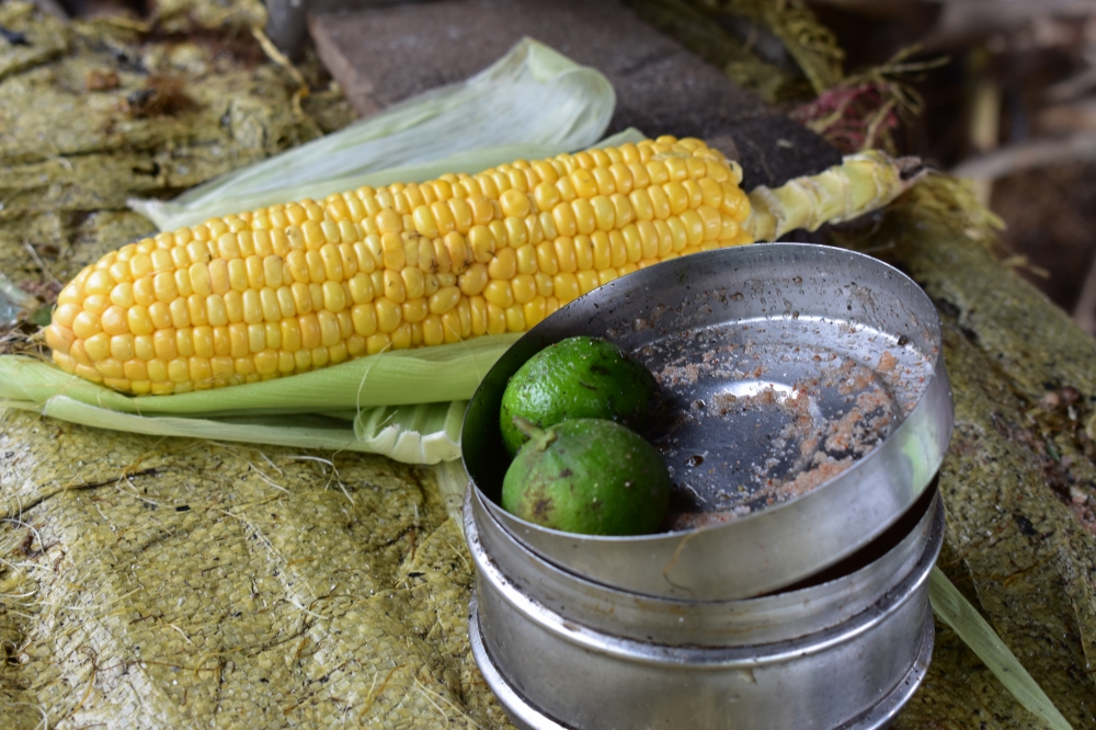 Food, corn, food, Rainy day, rain,eat,sweat,vegitable,